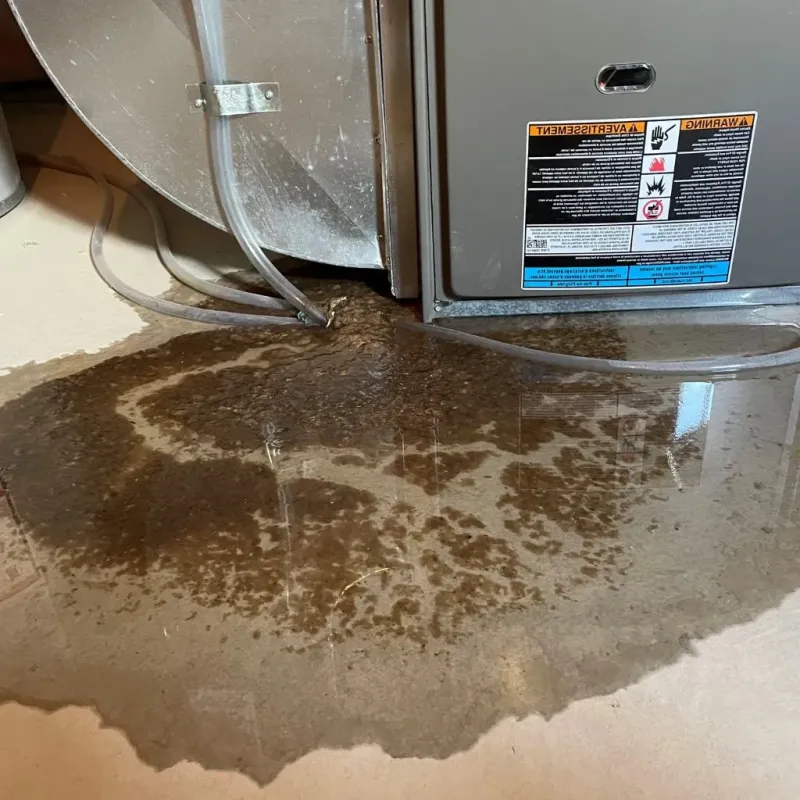 Pipe Burst and Leak Restoration in Paden City, WV