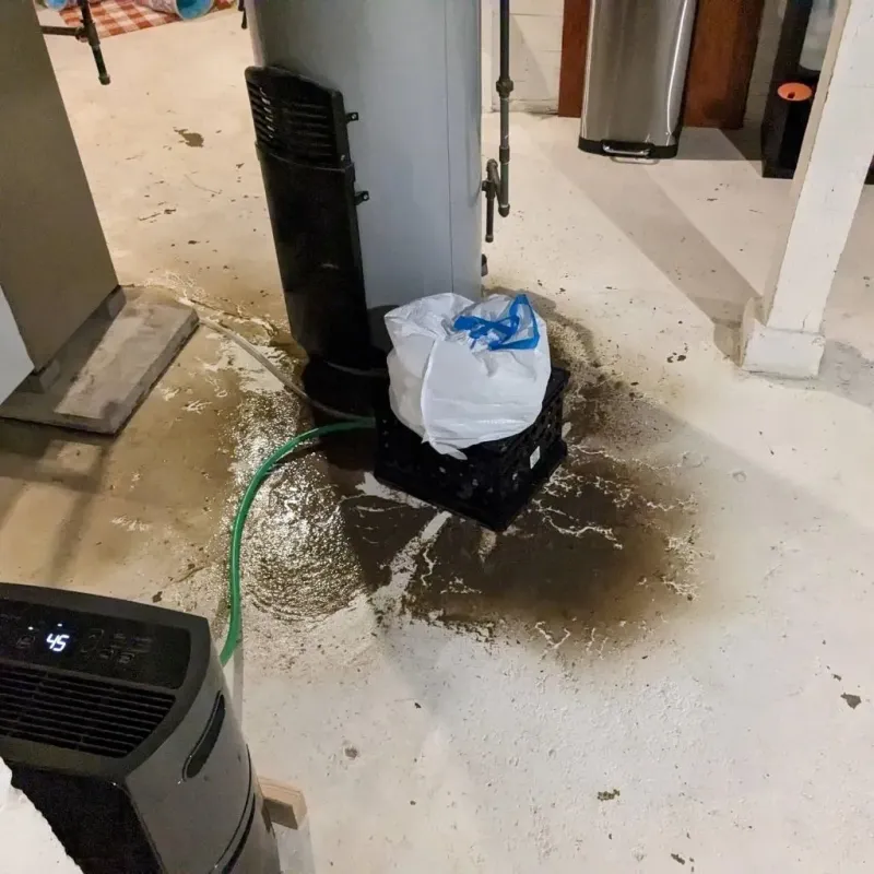 Sewage Backup Cleanup Service in Paden City, WV